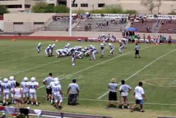 Sharks v Wolves 083113