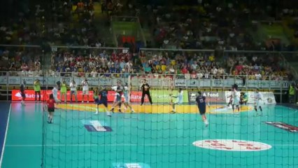 Eurotournoi 2013 | Veszprem - PSG | Arrêt Allilovic