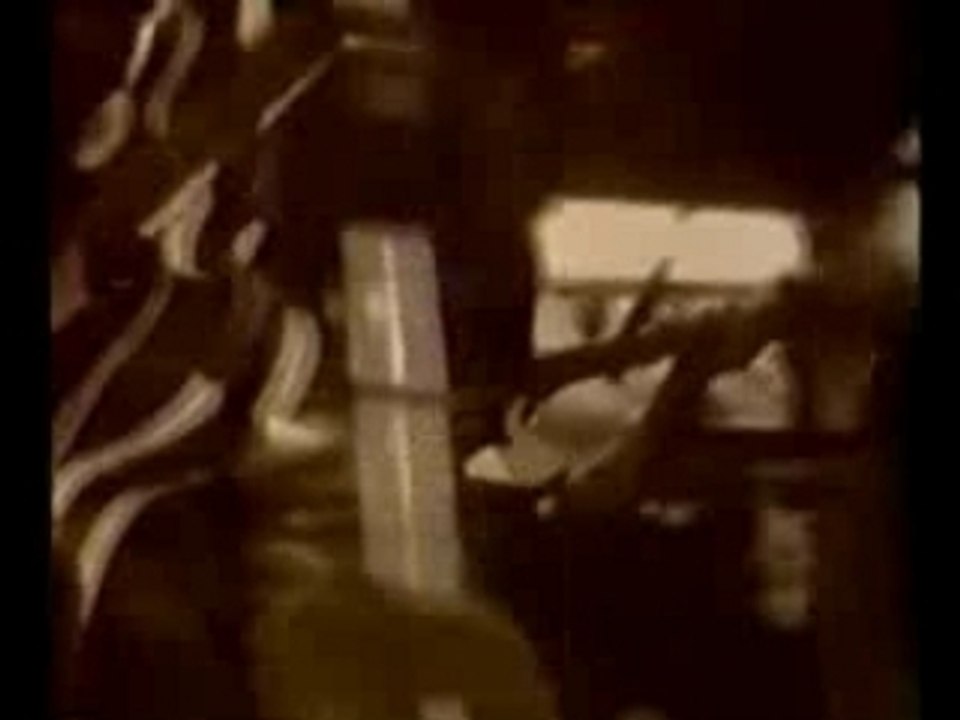 Lobos negros - Rock'n'roll en la ciudad