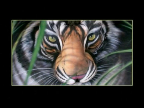 Last South China Tiger