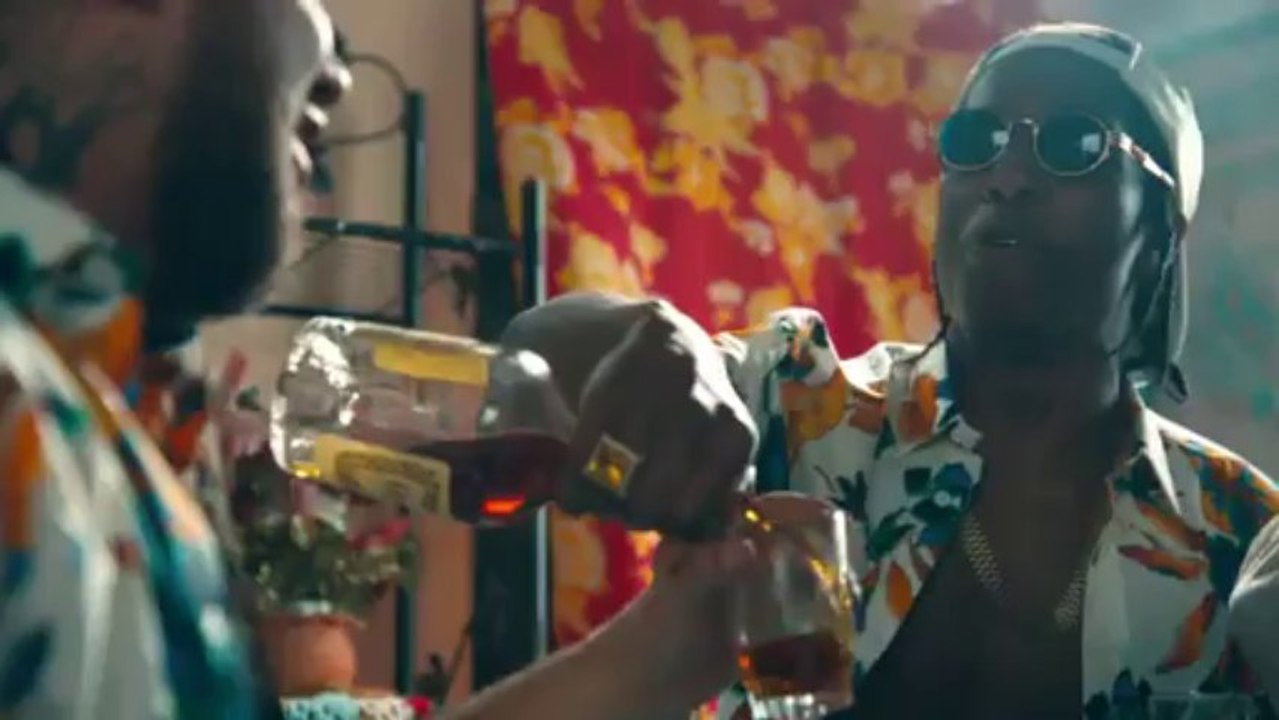 A$AP Rocky feat. Skrillex and Birdy Nam Nam - Wild For The Night (Explicit)