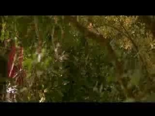 Heavenly Creatures Donkey Serenade