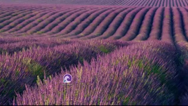 Uploaded Sep 03, 2013 -Comment télécharger des jeux PC XBOX PS3 WII PS2 PSP gratuitement