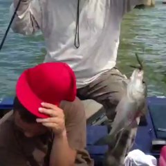 Mobile Capture Sep 1, 2013