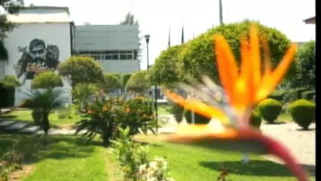 DIARIO NOTICIAS Miercoles 27 de Agosto de 2013