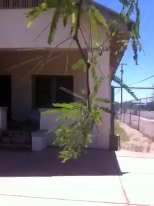We Buy Houses Tucson Arizona 520-222-7202