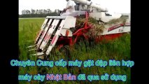 Video chạy thử máy gặt liên hợp Yanmar Max 5 trên đồng ruộng Bắc Ninh- Máy Nông Nghiệp Đăng Lê
