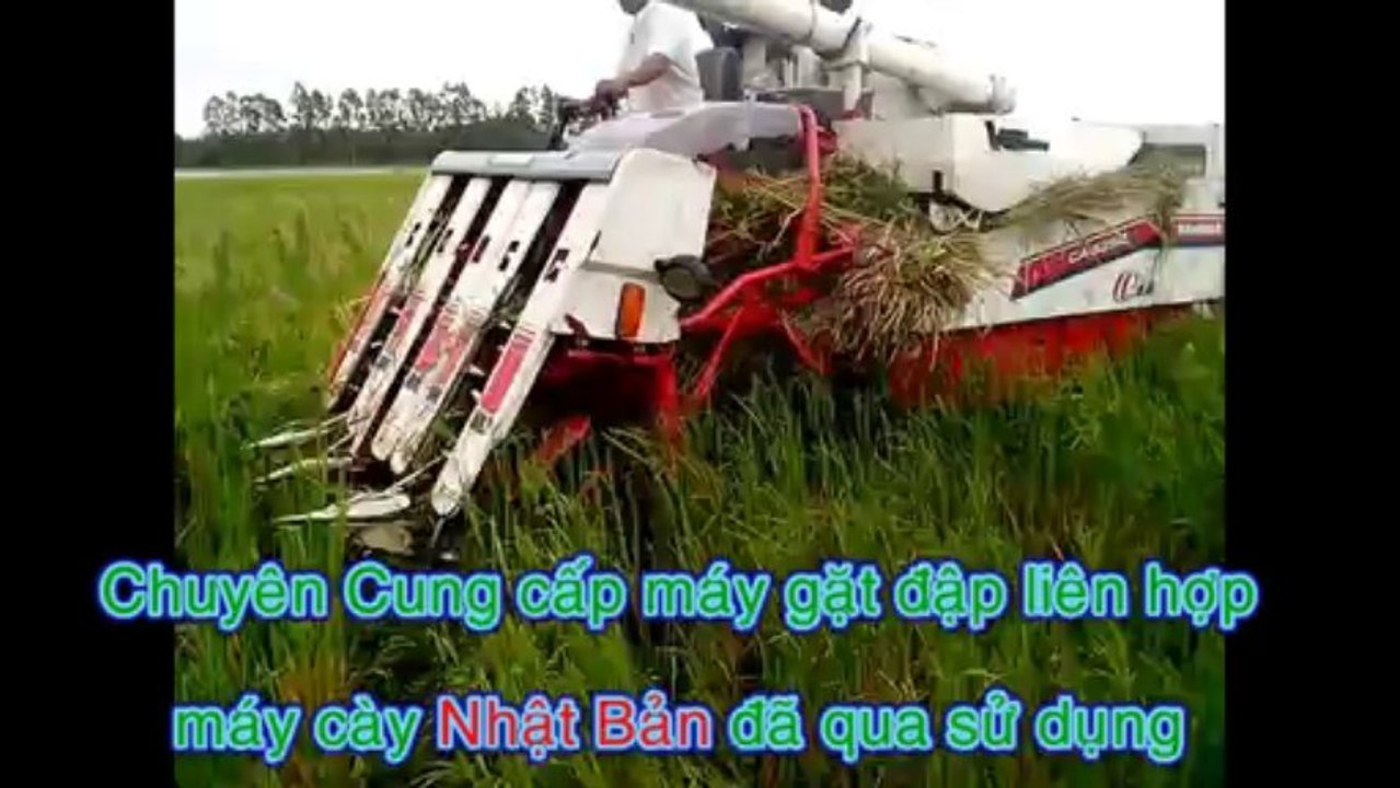 Video chạy thử máy gặt liên hợp Yanmar Max 5 trên đồng ruộng Bắc Ninh- Máy Nông Nghiệp Đăng Lê
