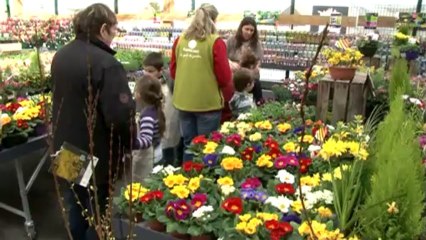 cours de jardinage avec l'école Saint Joseph du Cateau