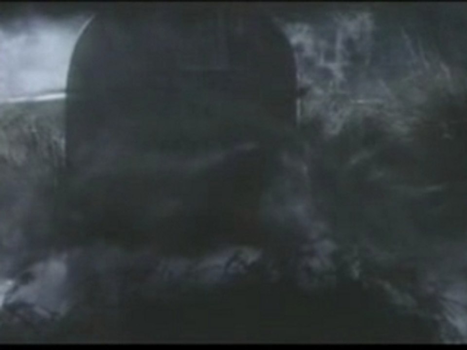 (video clip) micheal jackson - triller