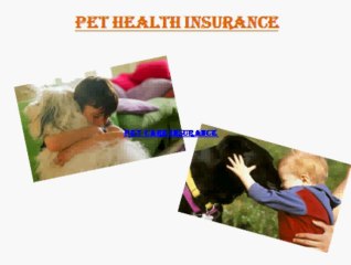 Pet Health Insurance