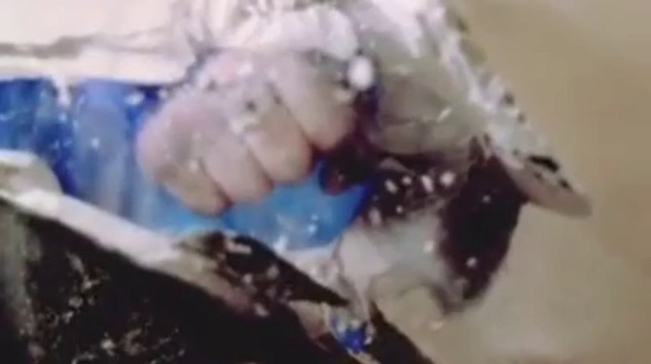 O Zamandan ve Mekandan Münezzehtir!