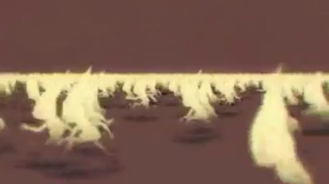 Çarpıcı Fikirler İnsan Aklına Nasıl Gelir - Görelim