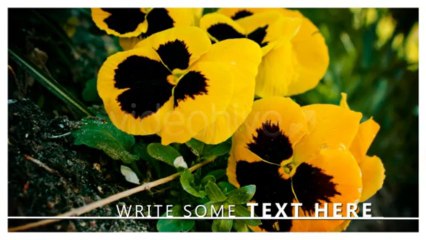 Flipping Square Revealer Photo And Video Slideshow - After Effects Template