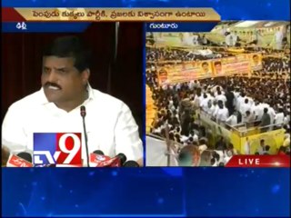 TDP and YSRCP yatras politically motivated - Botsa