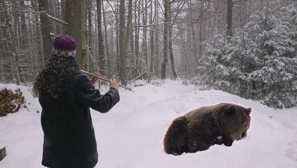 Endormir un ours brun en jouant de la flûte... Pas mal.