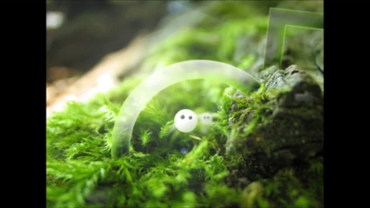 N'oubliez pas d'où vous venez