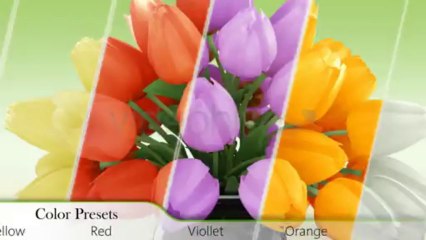 Flowers Greeting - After Effects Template