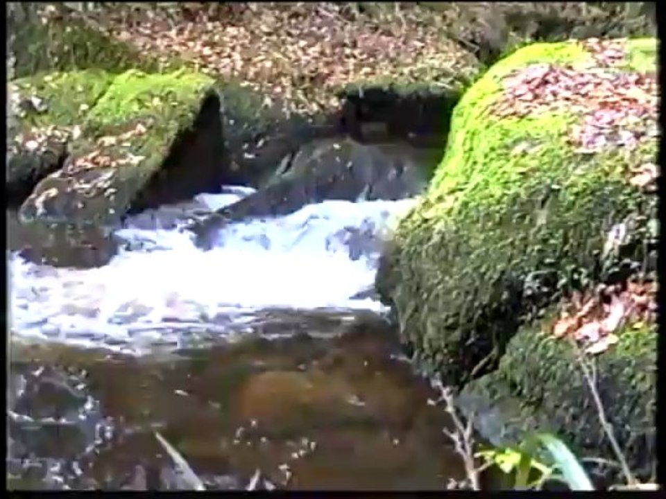Bretagne 2000
