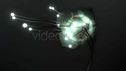 Illuminated Logo Reveal - After Effects Template