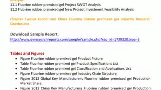 Global And China Fluorine Rubber Premixed Gel Industry 2013
