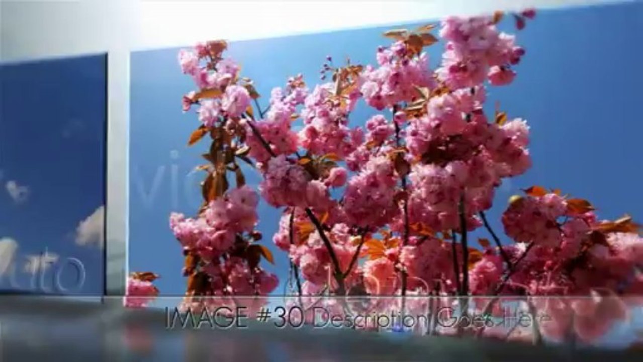 Clean 3d Corporate Gallery - After Effects Template