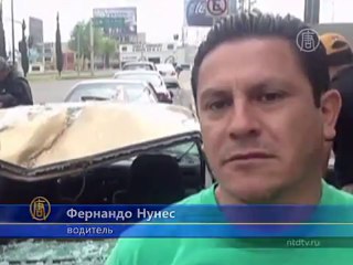 По Мехико пронесся табун сбежавших лошадей