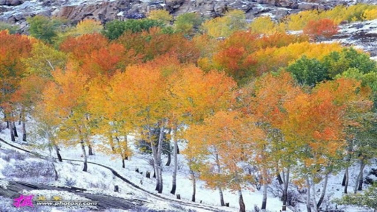 Natural Mongolia - Mông Cổ Thiên Nhiên (PP720)