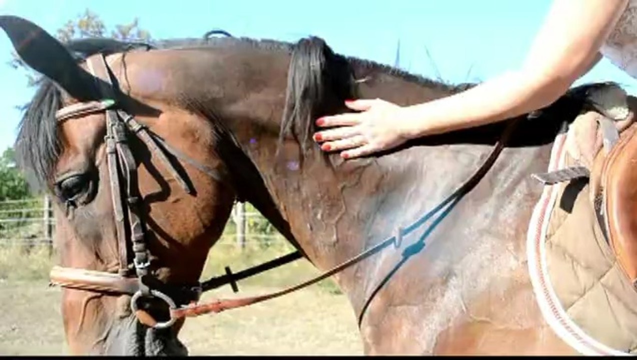 Cv vidéo: Marine BOUDES Commerciale