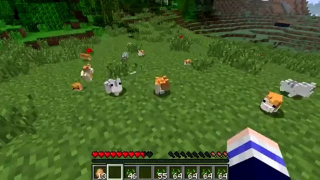 SUPER CUTE HAMSTERS!! [Minecraft 1.5.1 Mod]