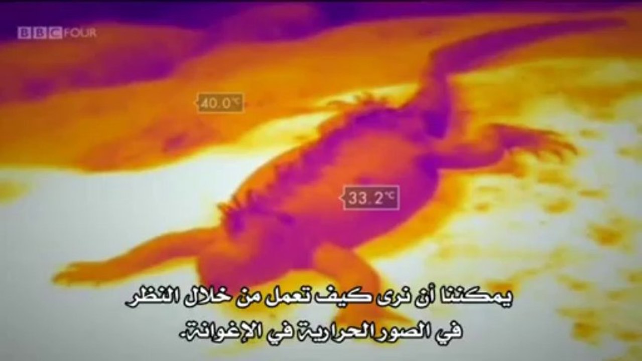 سلسلة العوالم الصغيرة للطبيعة  : غالاباغوس