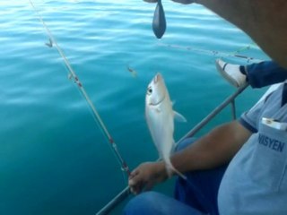 ismail kaptan balık avı.28.08.2013 tel .05334559097