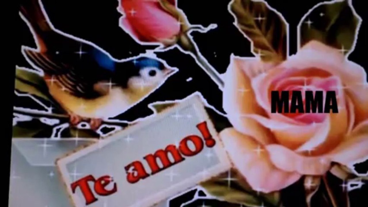 mam renovado