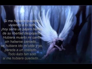 Laly Zayas- Si me hubiera quedado