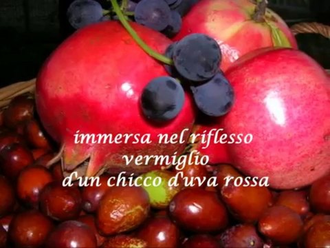 Silvia De Angelis - Quell'acino