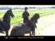 Le Cheval Roi : Un salon pour les passionés de chevaux