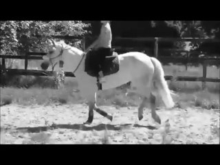 Compote de pomme de terre♥