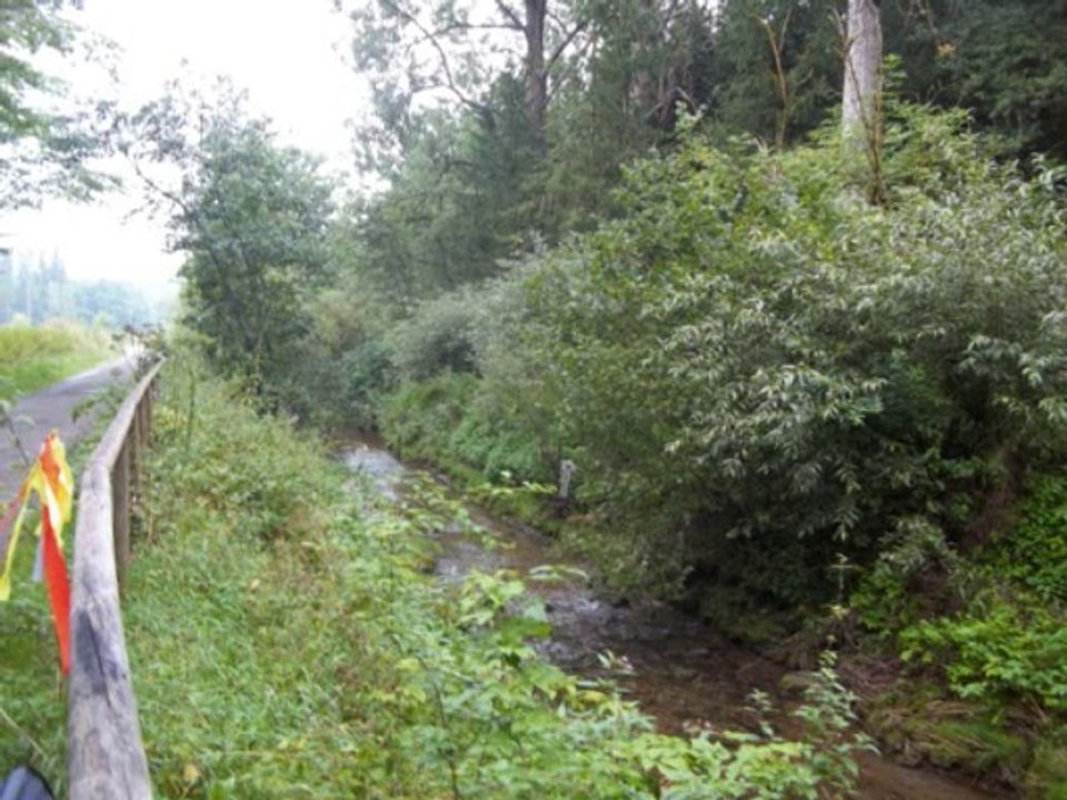 La remontée du NECKAR jusqu'à sa source août 2013