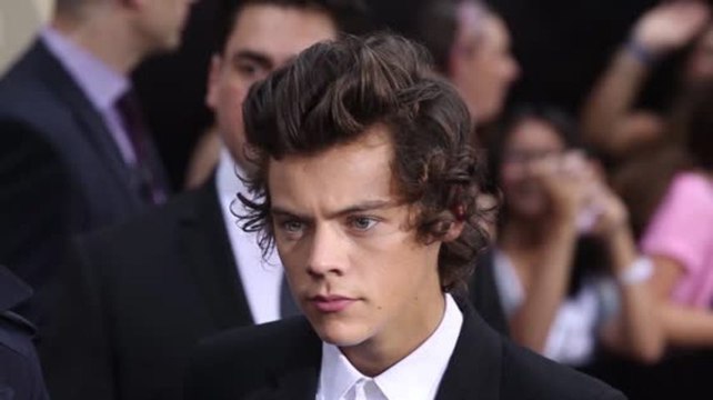 Harry Styles Believes Twerking is 'Inappropriate'