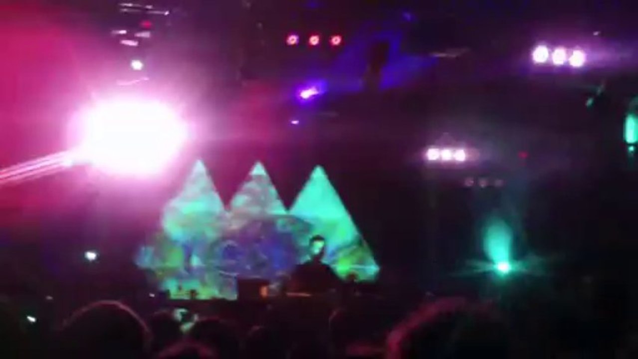 Eclosion Festival-video 2
