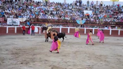 Toros en Hervás, 17-VIII-13 (2)