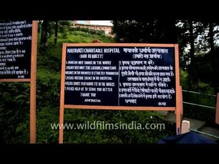 Mayavati charitable hospital run by Advaita Ashrama