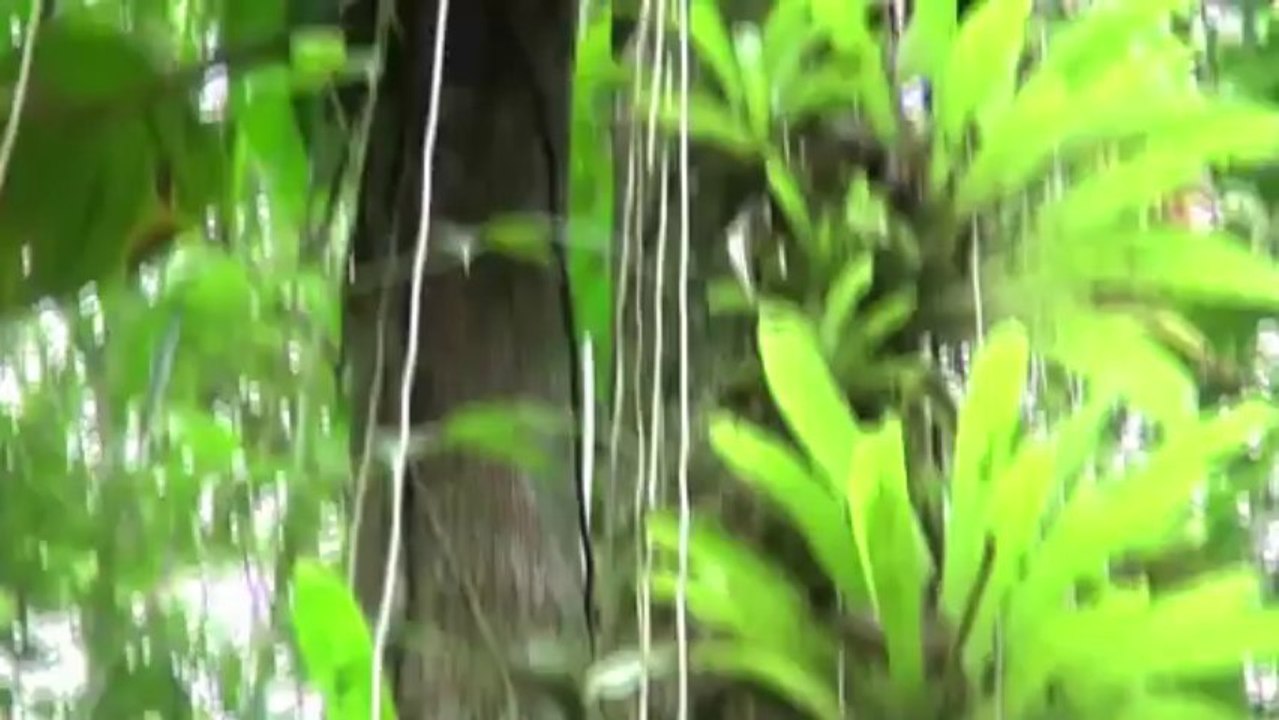 2_Brasilien_Lagoa Projekt