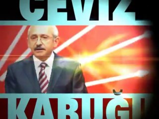 Ceviz Kabuğu 2 Şubat Cumartesi günü Ulusal Kanal'da