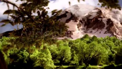 nature logo - After Effects Template