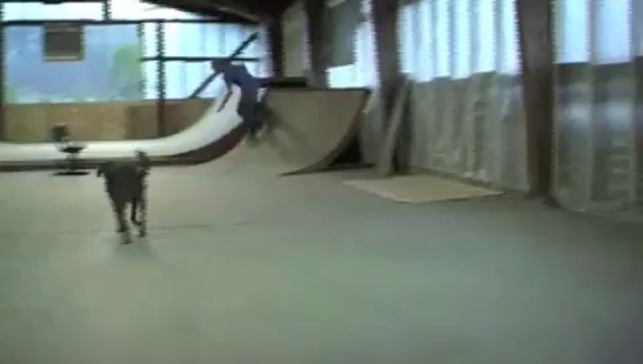 austin  rip sesh - Mobile