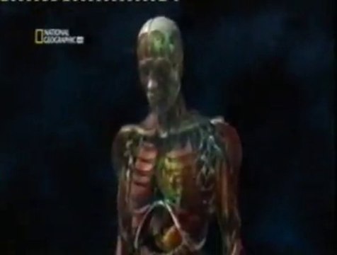 Heroina: Efectos fisiologicos