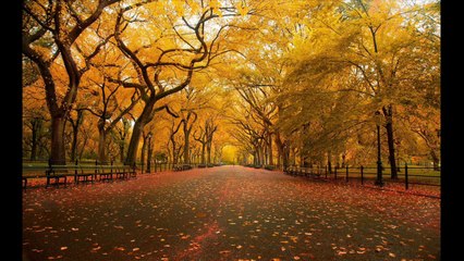 Dard Se Mera Daaman Bhar de - cover by Chitralekha Dixit