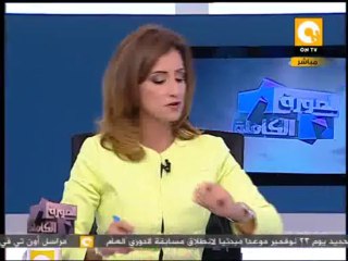 الصورة الكاملة: مطالب أهل سيناء والنوبة من الدستور المصرى