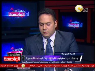 السفير - ناصر كامل: الموقف المصري رافض التدخل العسكري لأي دولة عربية وخاصة سوريا